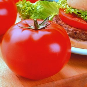 Tomate Big Beef